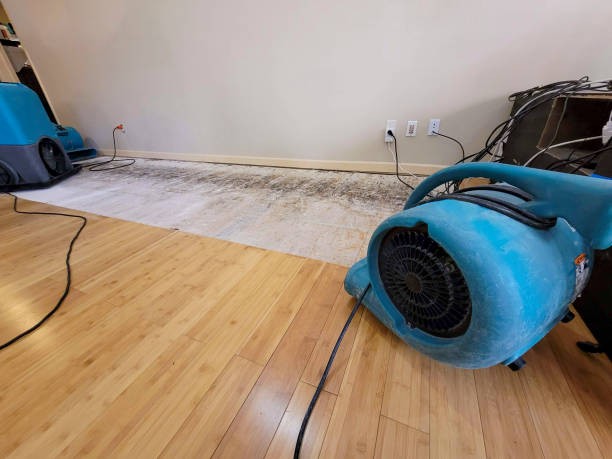 Professional Ceiling Water Damage Repair technician working in Somerville, TX
